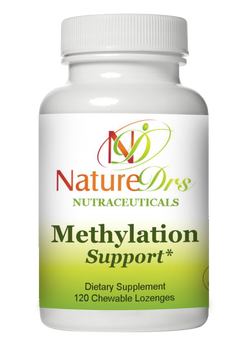 Methylation Support